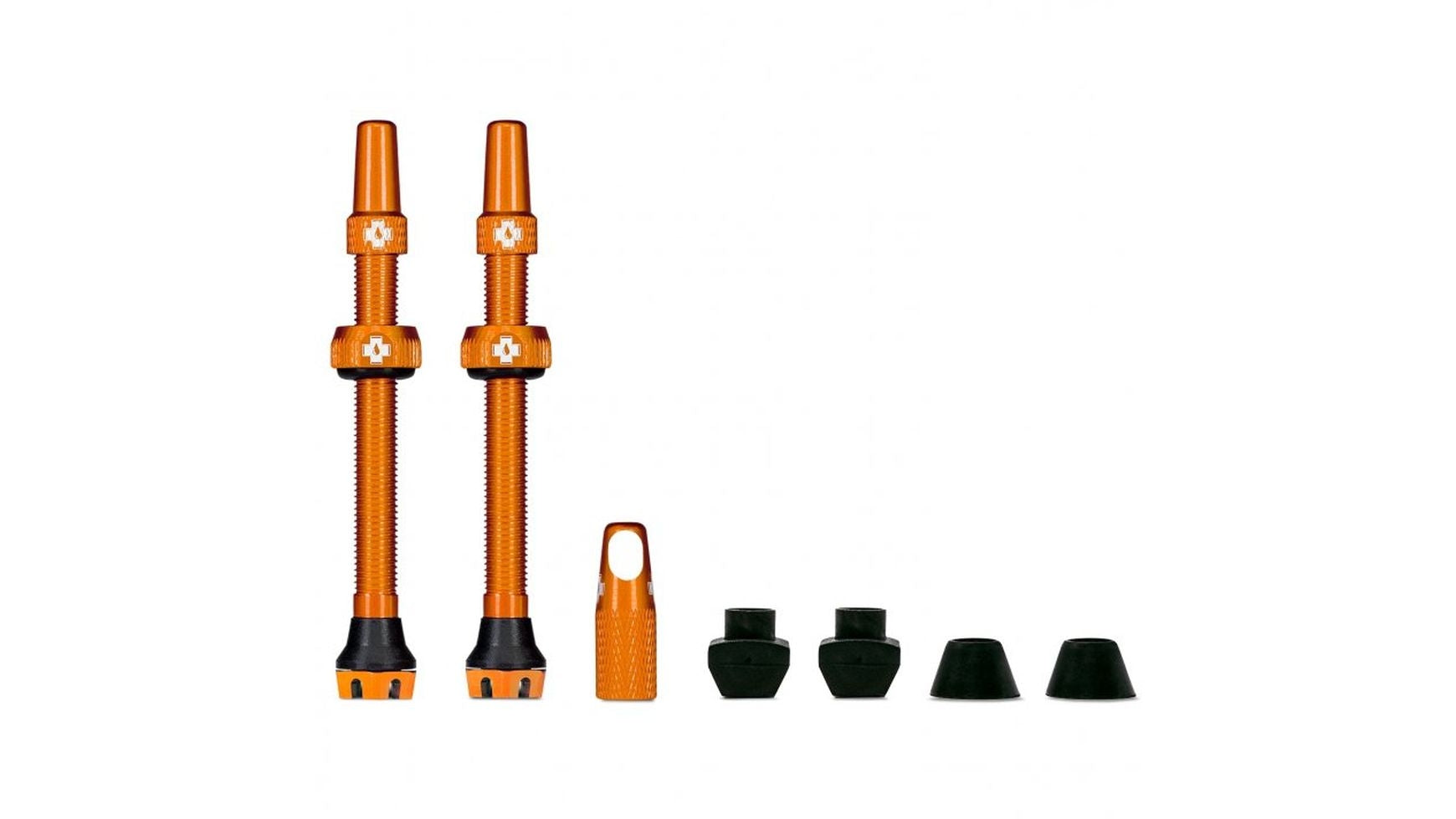 {3D448538-07FB-4134-BF11-DE4104C2887E}